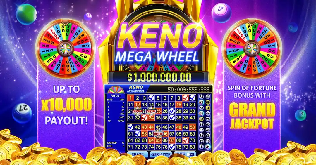 6z com mugni cassino livre