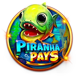 6z com free bet cassino Terminal móvel